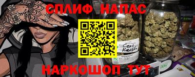 гашик Кинель