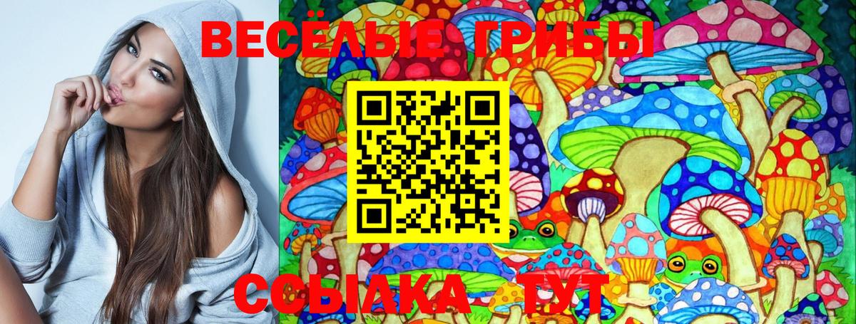 Псилоцибиновые грибы Magic Shrooms Керчь
